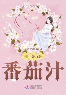 French Fries Dipped in Tomato Sauce