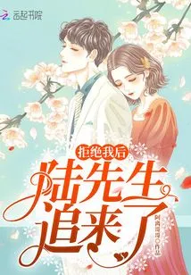 After Rejecting Me, Mr. Lu Came after Me