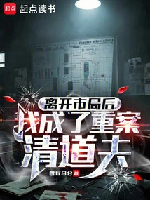 After Leaving the City Bureau, I Became a Serious Crime Sweeper