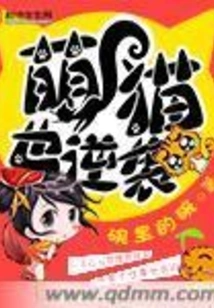 Cute Cats Also Counterattack