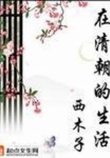 Life in the Qing Dynasty Volume 1