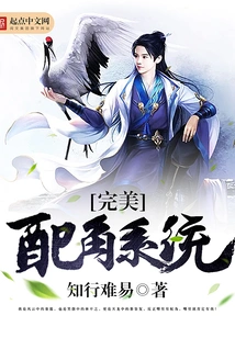 Perfect Supporting Role System