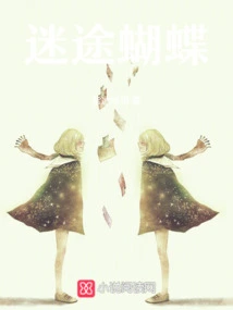 Lost Butterfly