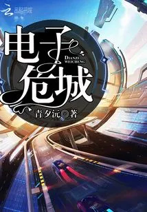 Electronic Crisis City