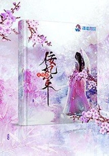 Concubine Ning