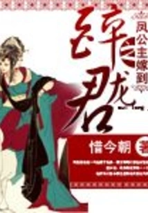 Princess Feng Marries Drunken Dragon Lord