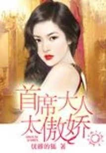 The Chief Sir is Too Arrogant