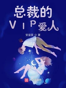 The Ceo's Vip Lover