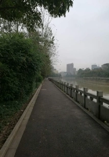 Don't Be Afraid, Daughter, We Are with You