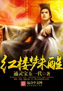Dream of Red Mansions Before Awakening