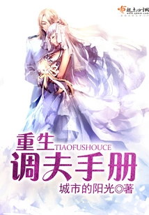 Reborn Husband Manual