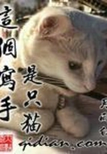 This Writer is a Cat