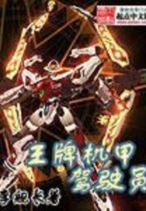 Ace Mecha Pilot