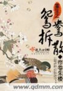 Rebirth of the Mandarin Ducks Breaking Up