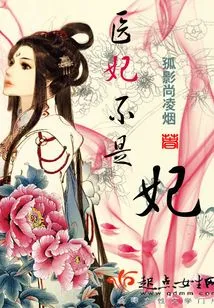 The Medical Concubine is Not a Concubine