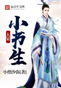Little Scholar of the Song Dynasty