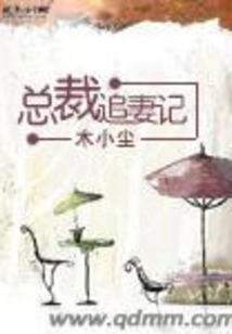 The Ceo Chasing His Wife