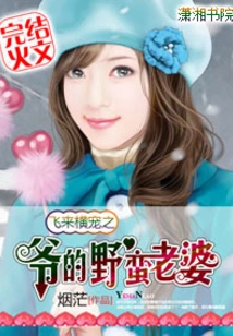 Fei Lai Heng Dou: My Policewoman Wife