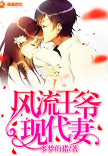 The Romantic Prince's Modern Wife