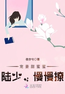 Doting on Your Wife Sweetly: Mr. Lu, Flirt Slowly