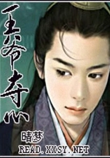 The Prince Seizes the Heart