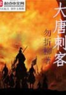 Assassin of the Tang Dynasty