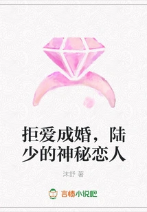 Rejecting Love and Getting Married, Mr. Lu's Mysterious Lover