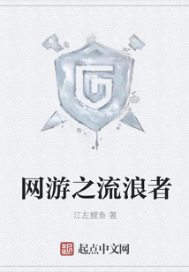 Online Game Wanderer