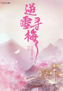 Looking for Plum Blossoms Against the Snow