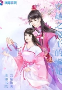 Time Travel: the Silly King's Lazy Concubine