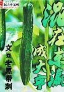 Become a Tycoon in Japan