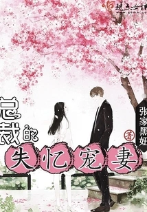 The Ceo's Amnesiac Wife