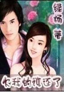 When Mr. Bao Met Lin Xiaoshan