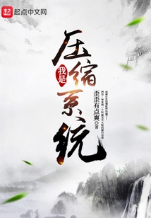 I Am a Compression System