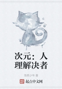 Dimension: Human Solver