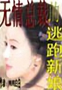 The Runaway Bride of the Ruthless Ceo