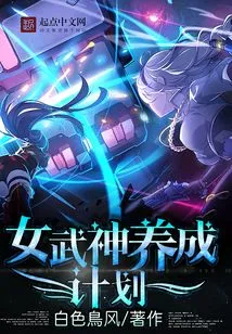 Valkyrie Development Plan