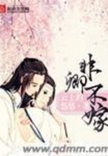 Not Marrying Anyone Other Than Qing