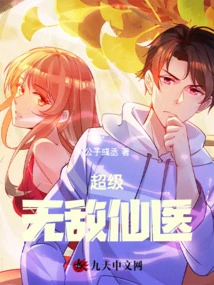 Super Invincible Fairy Doctor