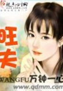 Wang Fu