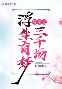 A Comprehensive Summary of Three Thousand Scenes of Dreams in a Floating Life