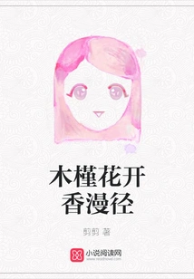 Hibiscus Flowers Bloom Along the Fragrant Path