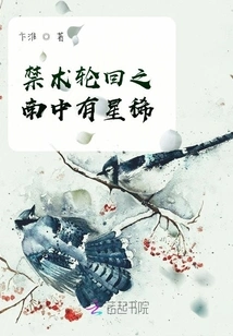 There Are Rare Stars in the South of Forbidden Magic Reincarnation