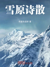 Snowfield Poems