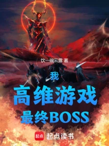 I, the High-dimensional Game, the Final Boss