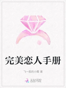 Perfect Lover's Handbook