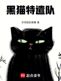 Black Cat Task Force