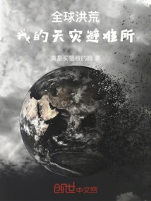 Global Desolation: My Natural Disaster Shelter