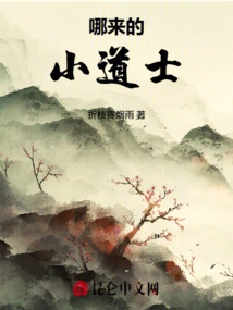 Where Did the Little Taoist Priest Come From?
