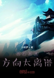 My Plot Direction is Too Outrageous